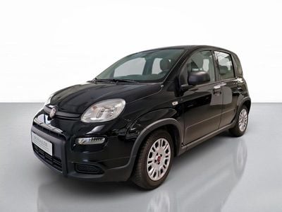 Usata Fiat Panda City Life 70 CV (51 kW) 2023 Nero Utilitaria