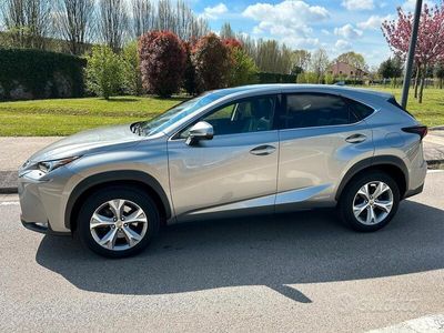 usata Lexus NX300h Luxury