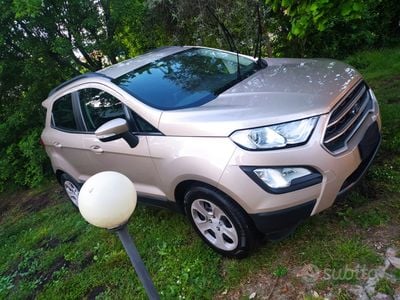 Usata Ford Ecosport 100 CV (73 kW) 2019 SUV
