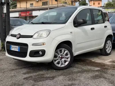 Usata Fiat Panda