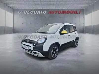 Usata Fiat Panda S 69 CV (50 kW) 2025 Bianco Utilitaria