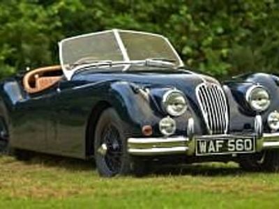 Altri Usata 1956 Jaguar XK SE Cabrio | 166.246 €