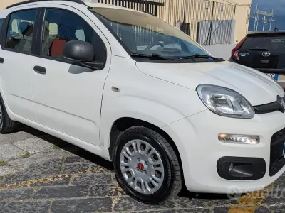 Usata Fiat Panda Easy 75 CV (55 kW) 2012 Bianco Utilitaria
