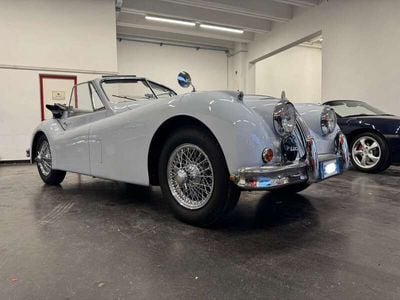 Usata Jaguar XK 190 CV (139 kW) 1955 Ice grey Cabrio