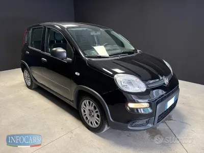 Usata Fiat Panda
