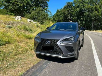 usata Lexus NX300 300h 2.5 F Sport 4wd cvt