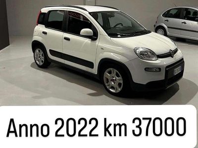 Usata Fiat Panda Easy 69 CV (50 kW) 2021 Utilitaria