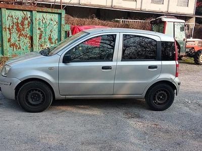 Usata Fiat Panda 67 CV (49 kW) 2007 Grigio Utilitaria