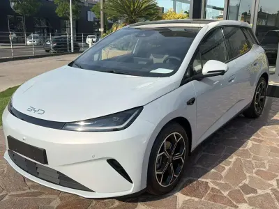 Usata BYD Dolphin