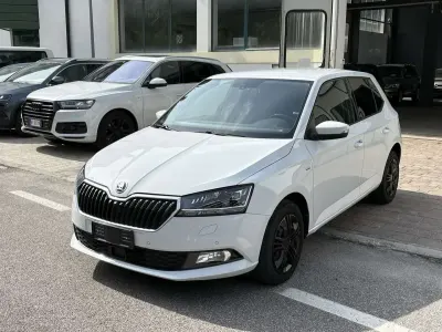 Usata Skoda Fabia Clever 95 CV (69 kW) 2018 Moonweiss metallic Utilitaria