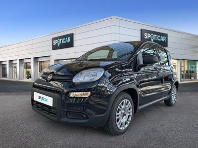 usata Fiat Panda 1.0 FireFly 70cv S&S Hybrid