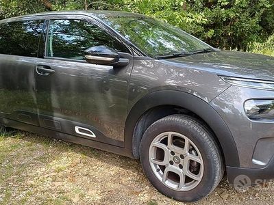 Usata Citroën C4 110 CV (80 kW) 2020 Grigio SUV