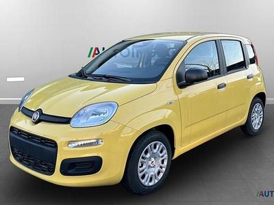 Nuova Fiat Panda Icon 69 CV (50 kW) 2025 Giallo Utilitaria