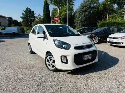 Usata Kia Picanto City 66 CV (48 kW) 2015 Bianco Utilitaria