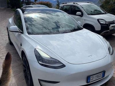 Usata Tesla Model 3 Performance 155 kW (211 CV) 2020 Bianco Berlina