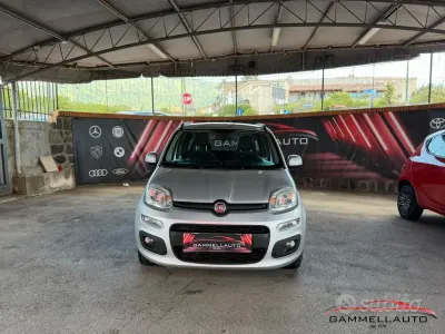 Usata Fiat Panda Lounge 69 CV (50 kW) 2019 Grigio Utilitaria