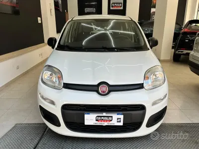 Usata Fiat Panda Easy 69 CV (50 kW) 2019 Bianco Utilitaria