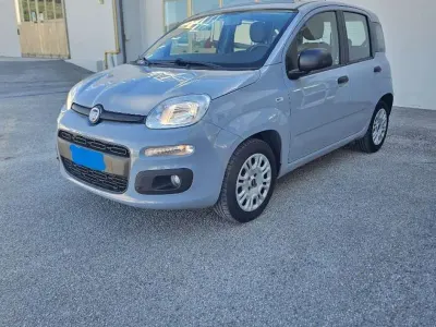 Usata Fiat Panda Easy 69 CV (50 kW) 2019 Grigio Utilitaria