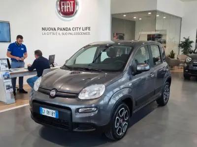 Usata Fiat Panda City Life 70 CV (51 kW) 2021 Grigio Utilitaria