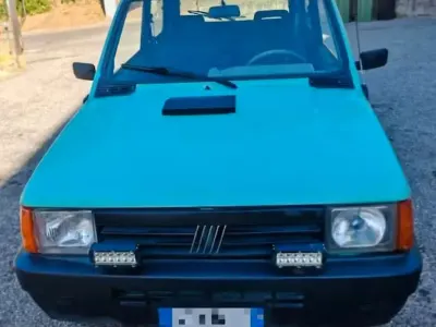 Usata Fiat Panda 4x4 50 CV (36 kW) 2002 Verde Utilitaria