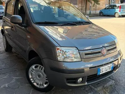 Usata Fiat Panda Dynamic 77 CV (56 kW) 2011 Grigio Utilitaria