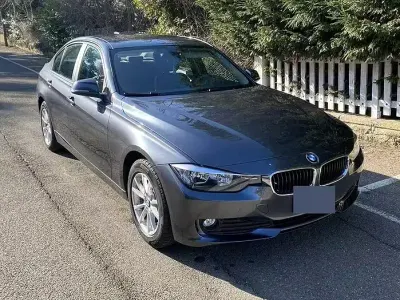 Usata BMW 318