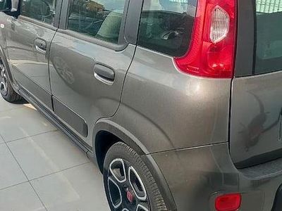 Usata Fiat Panda 69 CV (50 kW) 2021 Grigio Utilitaria