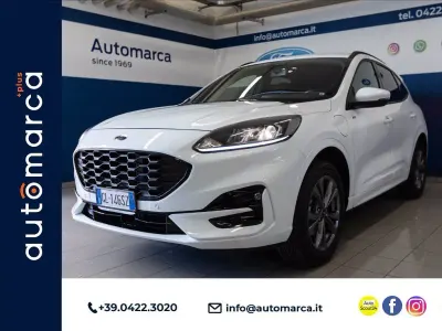Usata Ford Kuga ST-Line 225 CV (165 kW) 2022 Bianco frozen SUV