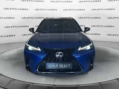 Usata Lexus UX