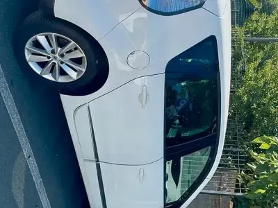 Usata Renault Scénic III