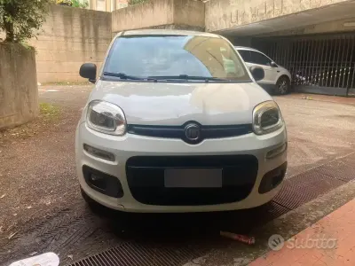 Usata Fiat Panda 82 CV (60 kW) 2014 Bianco Utilitaria