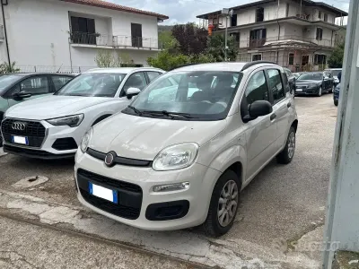 Usata Fiat Panda Easy 80 CV (58 kW) 2014 Beige Utilitaria