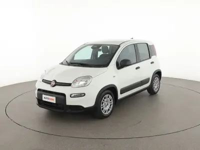 Usata Fiat Panda S 71 CV (52 kW) 2024 Bianco Utilitaria