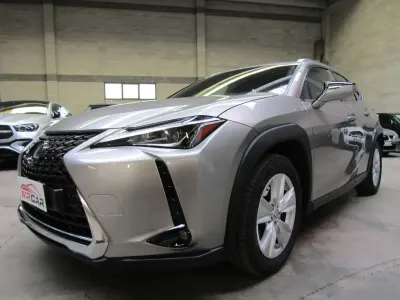 Usata Lexus UX 250h Business Edition 145 CV (106 kW) 2020 Argento metallizzato SUV