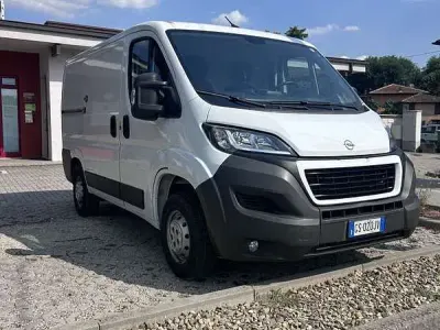 Usata Opel Movano