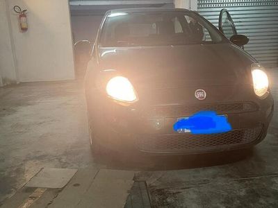 usata Fiat Punto Punto 1.4 8V 5 porte Natural Power Street