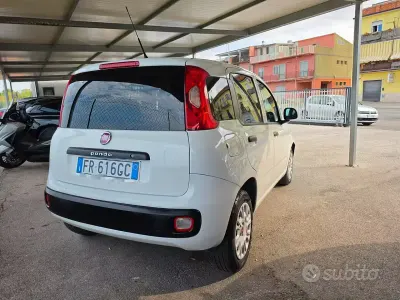 Usata Fiat Panda