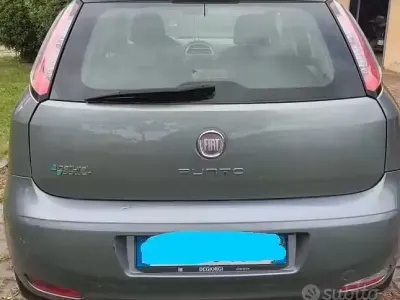Occasion Fiat Punto 60 ch (44 kW) 2012 Gris Citadine