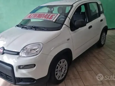 Usado Fiat Panda Cross Cross 69 CV (50 kW) 2023 Blanco Utilitario