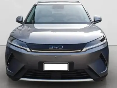 Usata BYD Atto 2