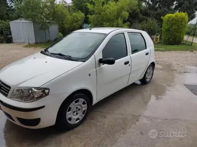 Usata Fiat Punto
