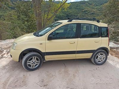 Usata Fiat Panda 4x4 69 CV (50 kW) 2007 Giallo Utilitaria