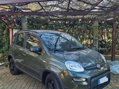 Usata Fiat Panda 4x4 84 CV (61 kW) 2019 Verde Utilitaria
