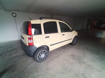 Usata Fiat Panda 2009 Giallo Utilitaria