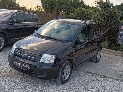 usata Fiat Panda 1,2 8v 60cv (Dynamic)(Clima)