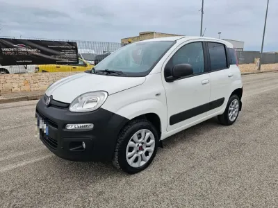 Usata Fiat Panda 4x4