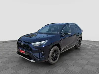 Usata Toyota RAV4 Hybrid