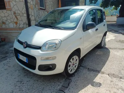 Usata Fiat Panda Easy 70 CV (51 kW) 2018 Bianco Utilitaria