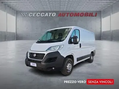 Usata Fiat Ducato