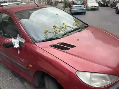 Usata Peugeot 206